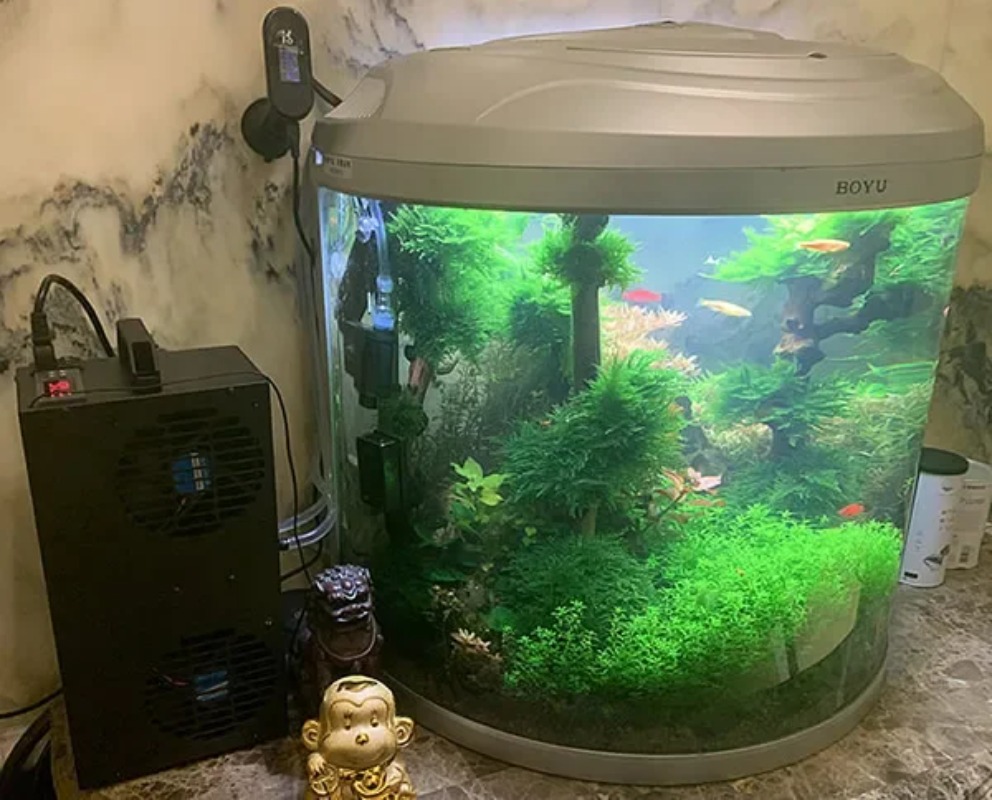 Aquarium Fish Small - Chłodziarka półprzewodnikowa z regulacją temperatury, mała