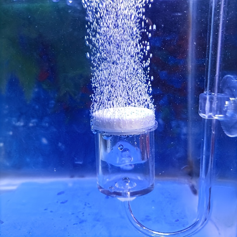Aquarium Fish Quarantine - Szklany atomizer CO2 do akwarium Dyfuzor