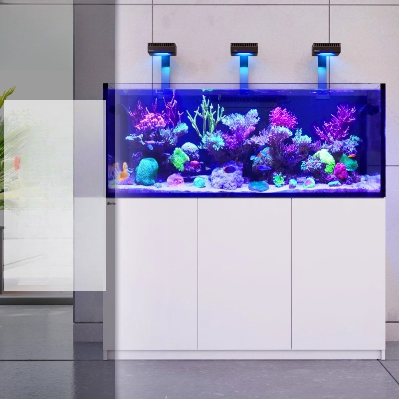 Aquarium Fish And Price - 2026 Gorąca Sprzedaż Hurtowa Nowy Akwarium