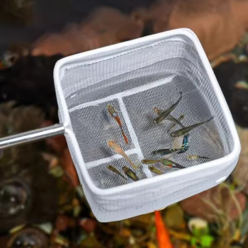 Narzędzia do czyszczenia akwar – Aquarium Fish Net Small recenzja i cena