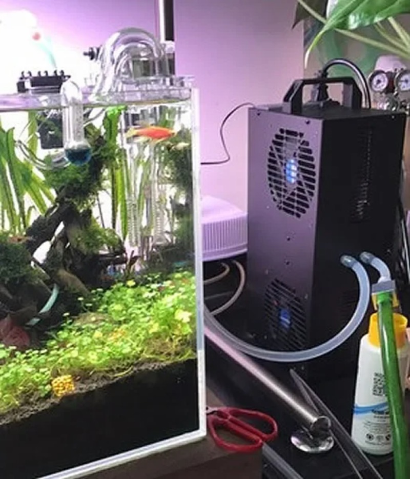 Chłodziarka półprzewodnikowa z – Aquarium Fish Small recenzja i cena