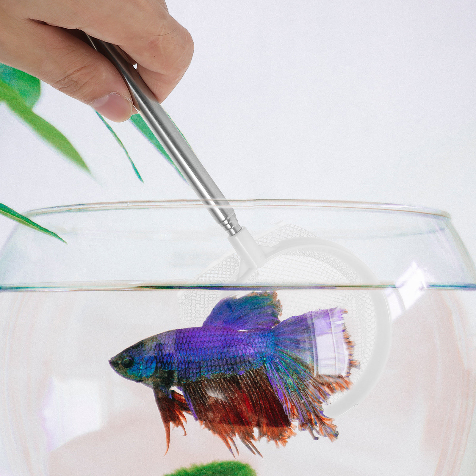 Teleskopowa siatka do akwarium – Aquarium Fish Net Small recenzja i cena