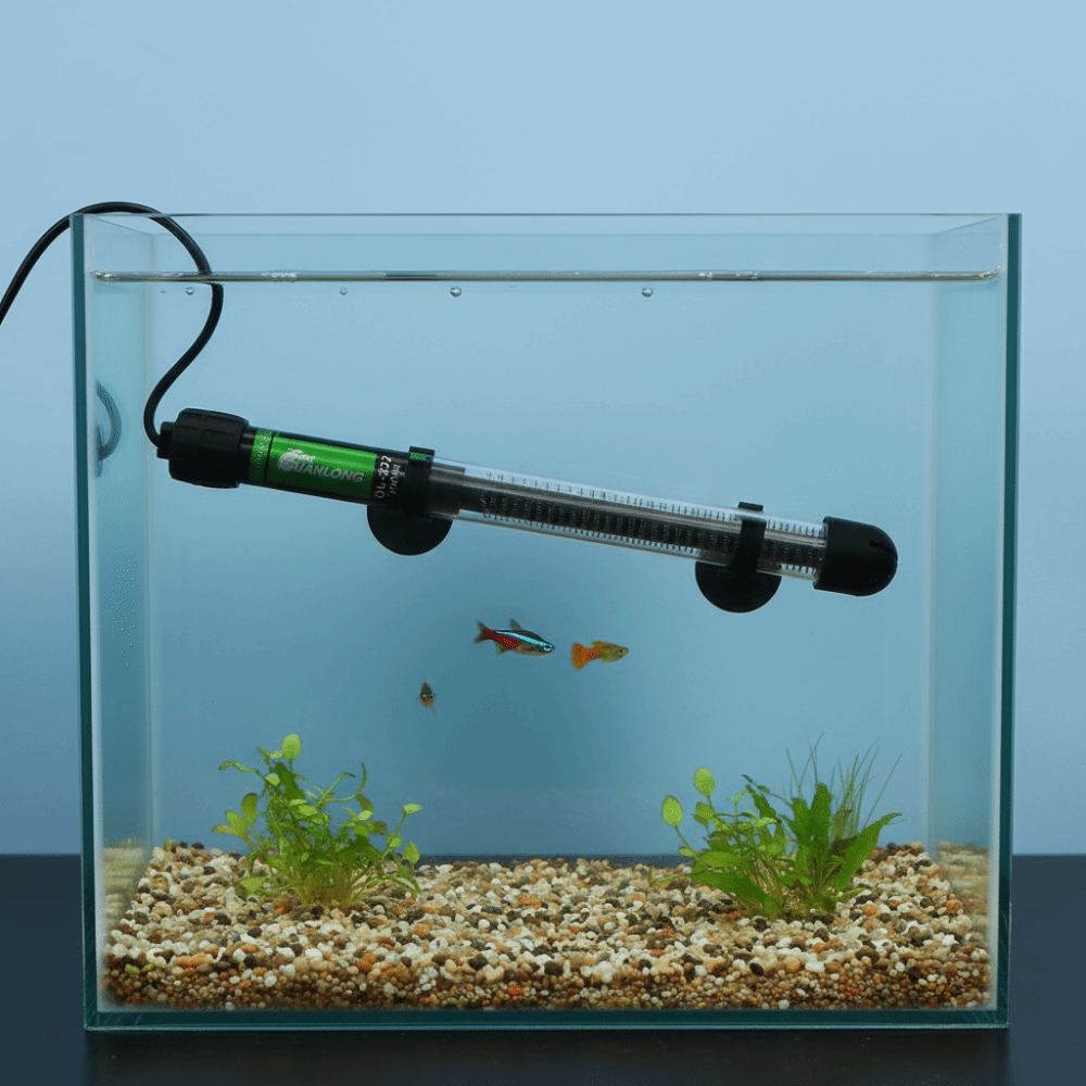 Grzałka akwariowa zanurzeniowa – Aquarium Heater Submersible recenzja i cena