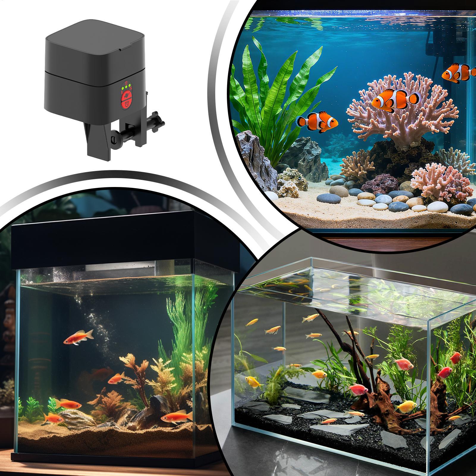 Automatyczne karmniki dla ryb, – Aquarium Fish Auto Feeder recenzja i cena
