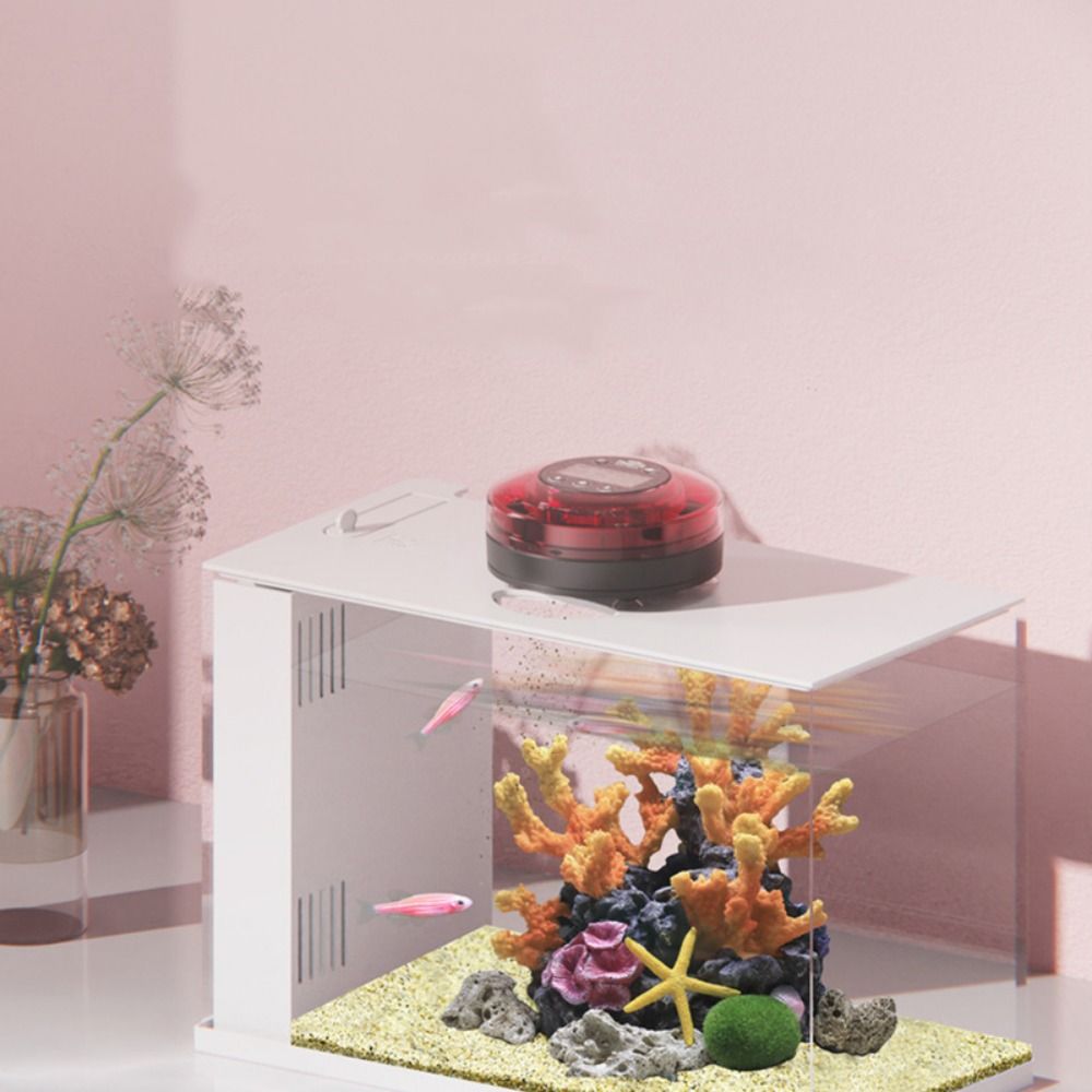 Automatyczny podajnik karmy dl – Aquarium Fish Auto Feeder recenzja i cena