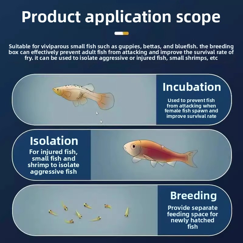 Siatka do hodowli ryb akwariow – Aquarium Fish Net Small recenzja i cena