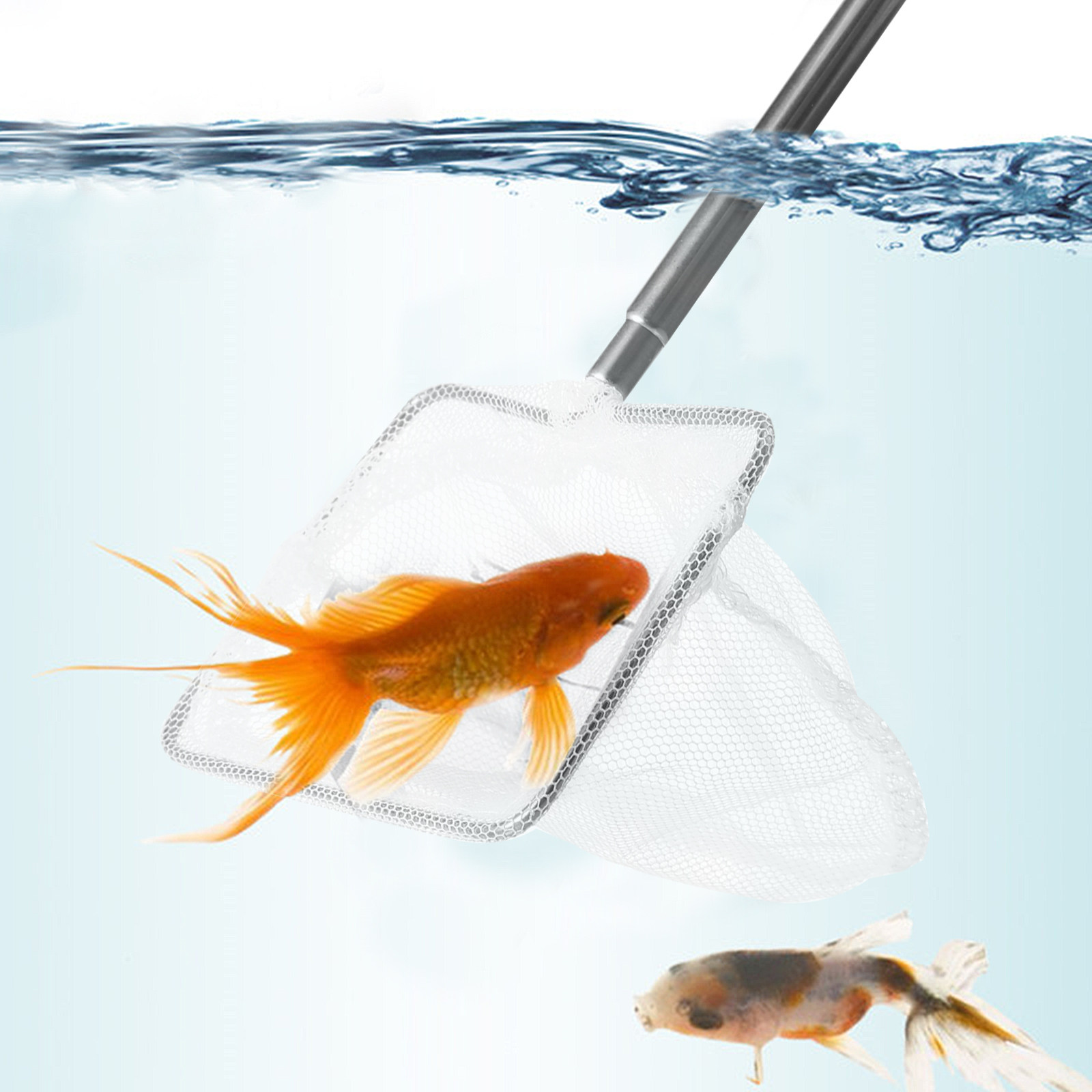 Mała siatka do akwarium ze sta – Aquarium Fish Net Small recenzja i cena