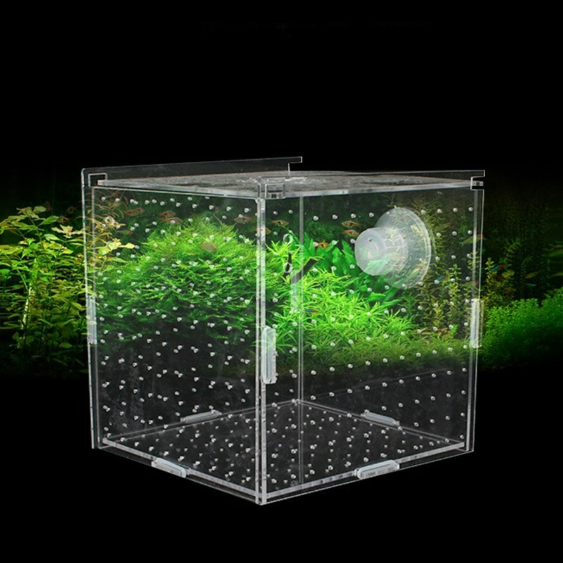 Akrylowa skrzynka izolacyjna A – Aquarium Fish Net Small recenzja i cena