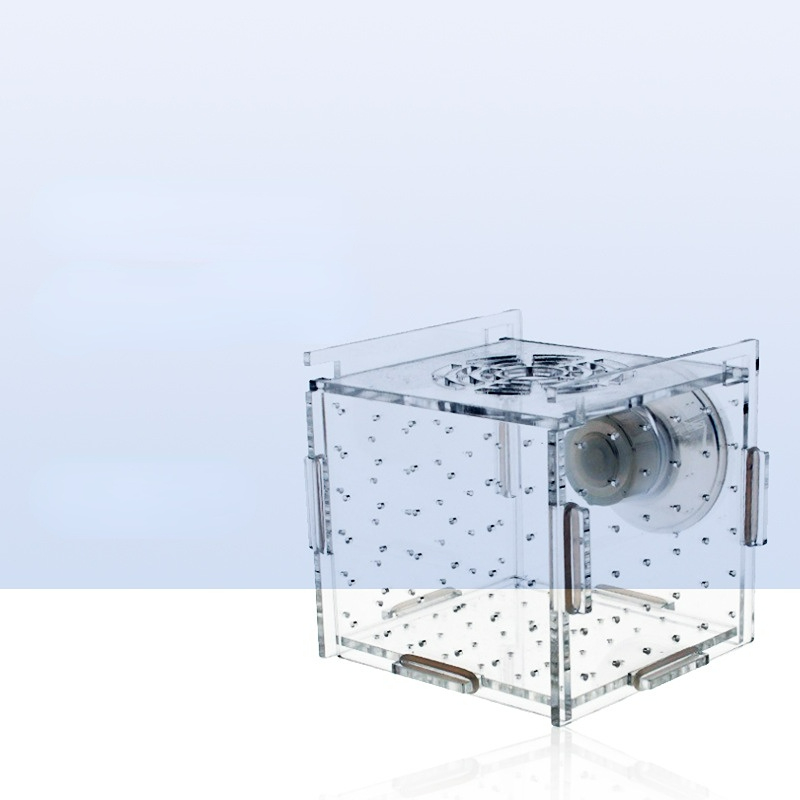Akrylowa skrzynka izolacyjna A – Aquarium Fish Net Small recenzja i cena