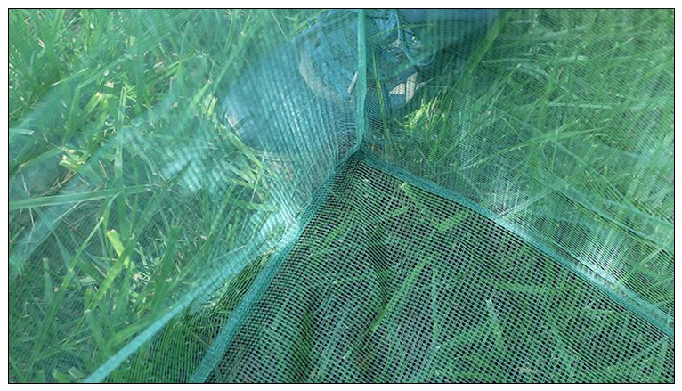 Fishing 3mm Staw Small Mesh Ca – Aquarium Fish Net Small recenzja i cena