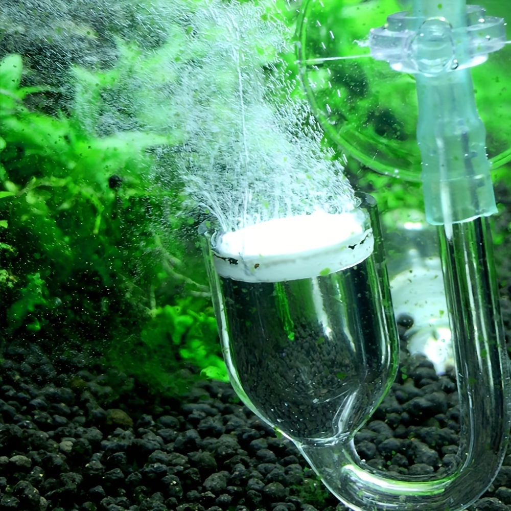 Szklany atomizer CO2 do akwari – Aquarium Fish Quarantine recenzja i cena