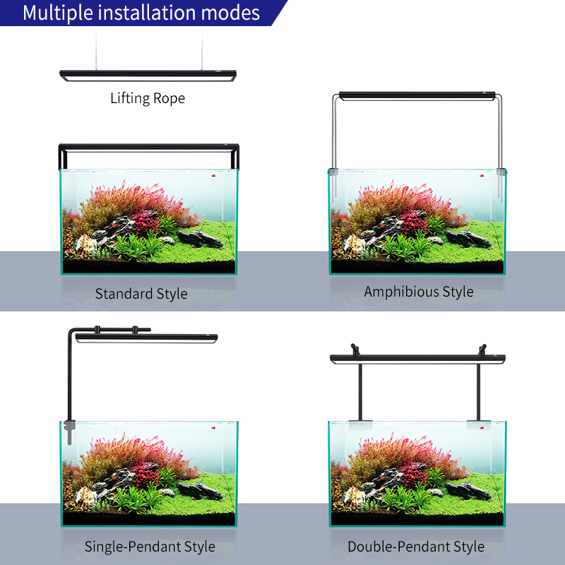 ZXY WEEKAQUA V300SE Najlepsza  – Aquarium Fish And Price recenzja i cena