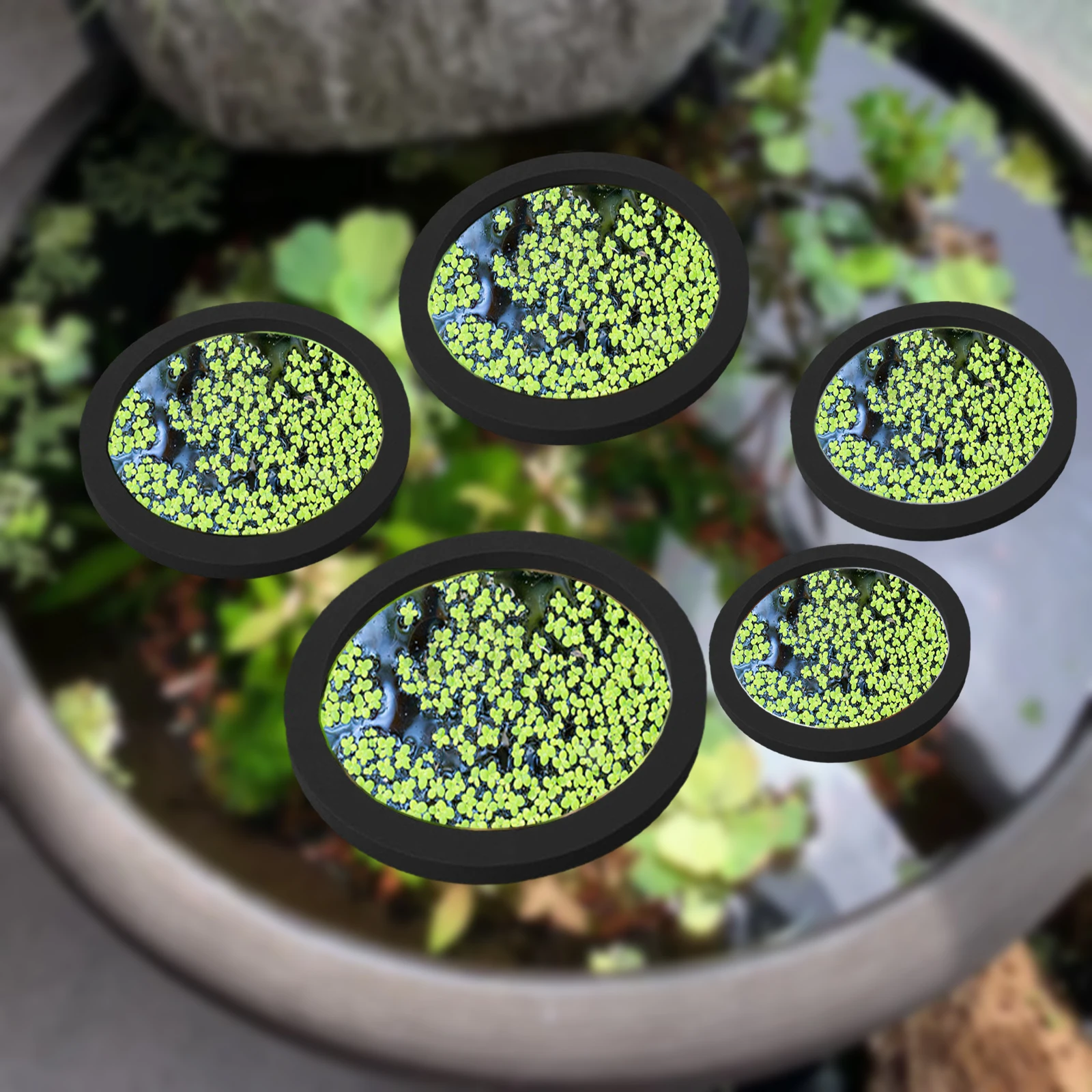 5Pcs EVA Pierścień do karmieni – Aquarium Fish Farm recenzja i cena