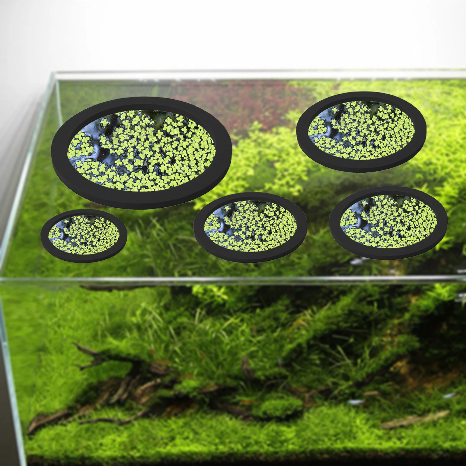 5Pcs EVA Pierścień do karmieni – Aquarium Fish Farm recenzja i cena
