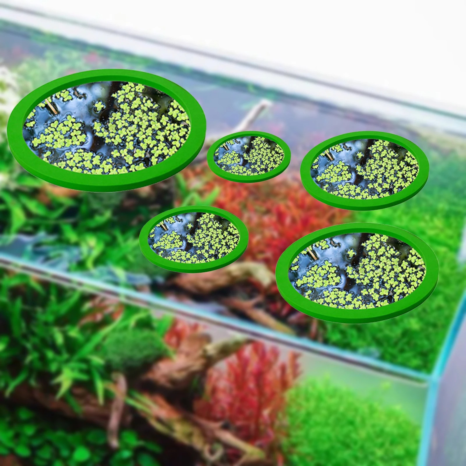 5Pcs EVA Pierścień do karmieni – Aquarium Fish Farm recenzja i cena