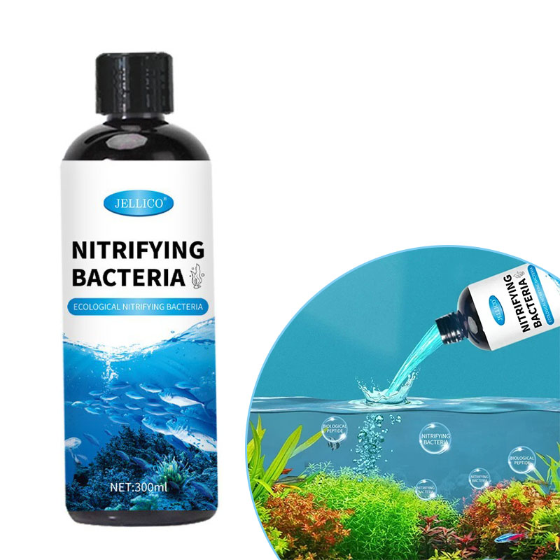 Bakterie nitryfikacyjne Płynny – Aquarium Fish Farm recenzja i cena