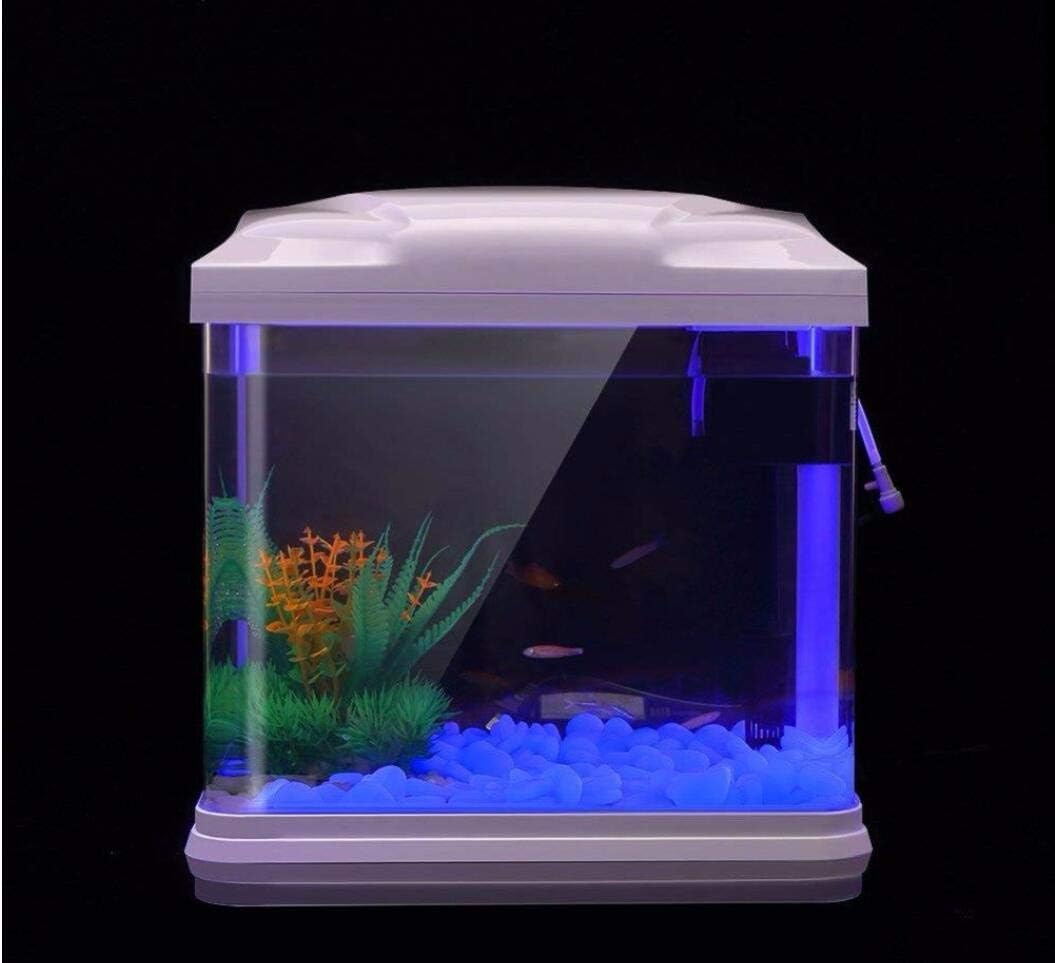 Fish Tank Rocks Glow Blue Pebb – Aquarium Fish Farm recenzja i cena