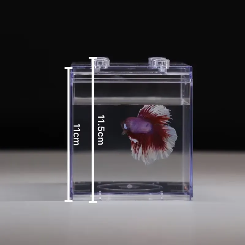 Relaxlines Mini Akwarium Dekor – Aquarium Fish Small recenzja i cena