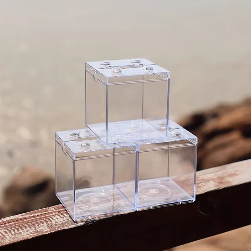 Relaxlines Mini Akwarium Dekor – Aquarium Fish Small recenzja i cena