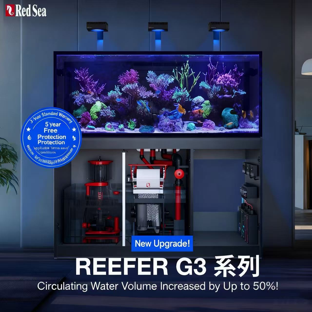 2026 Gorąca Sprzedaż Hurtowa N – Aquarium Fish And Price recenzja i cena