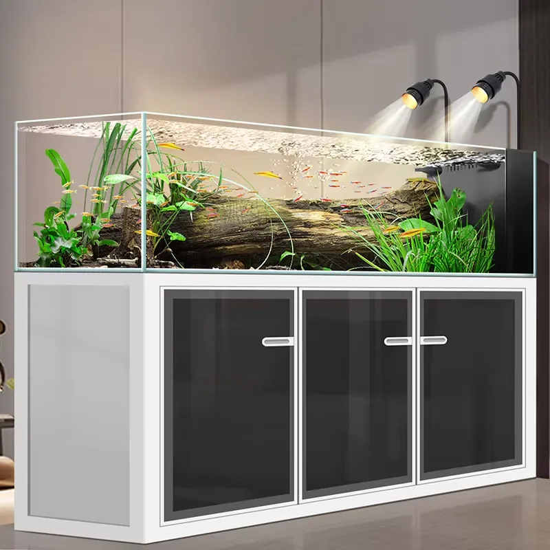 Akwarium Prostokątne 240 Galon – Aquarium Fish And Price recenzja i cena
