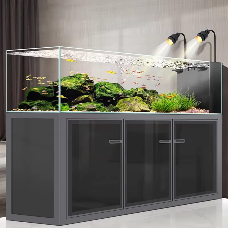 Akwarium Prostokątne 240 Galon – Aquarium Fish And Price recenzja i cena