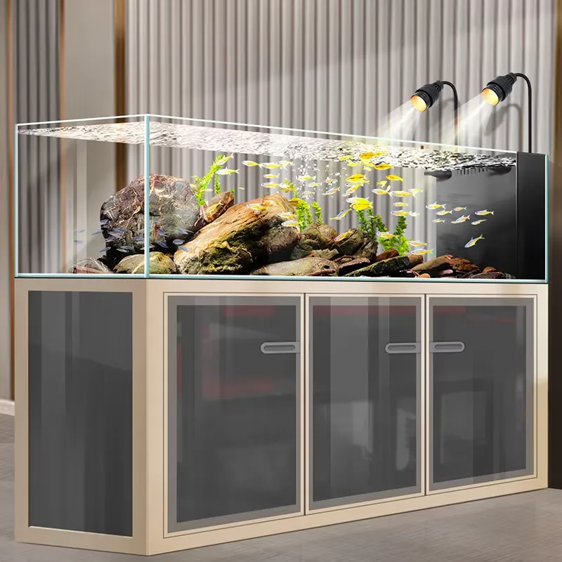 Akwarium Prostokątne 240 Galon – Aquarium Fish And Price recenzja i cena