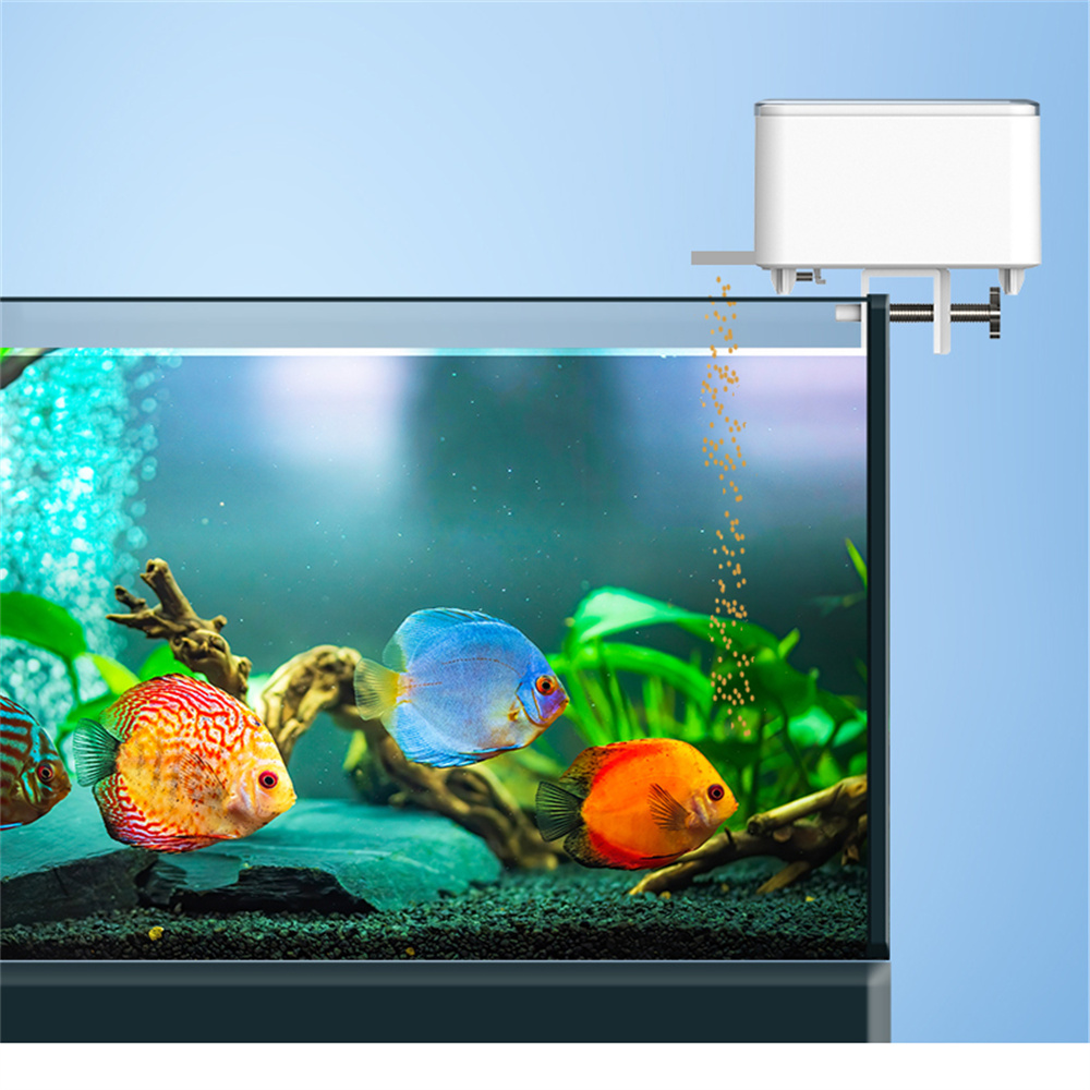Inteligentny automatyczny karm – Aquarium Fish Auto Feeder recenzja i cena