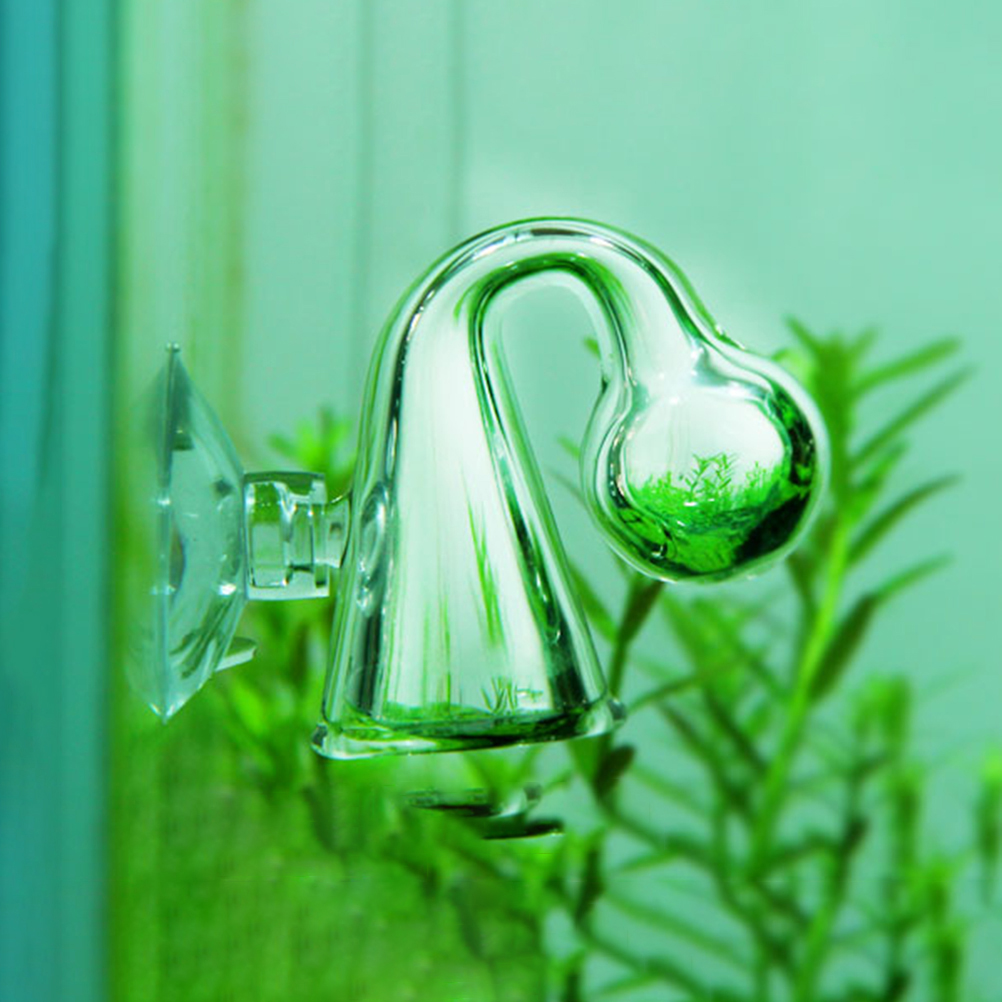 Akwarium CO2 Dyfuzyjny szklany – Aquarium Fish Quarantine recenzja i cena