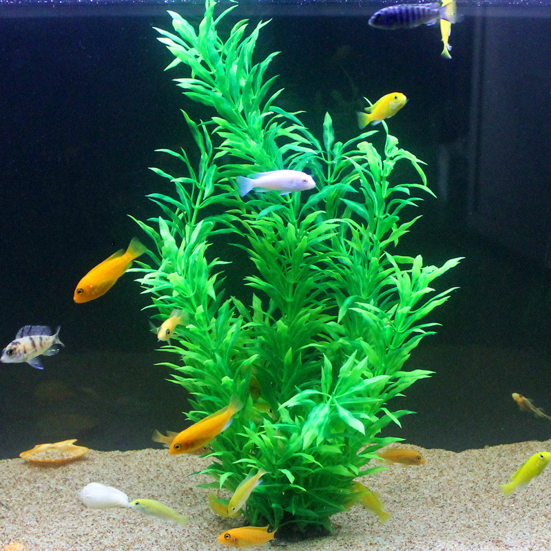 50CM sztuczne akwarium rzadkie – Aquarium Fish Quarantine recenzja i cena