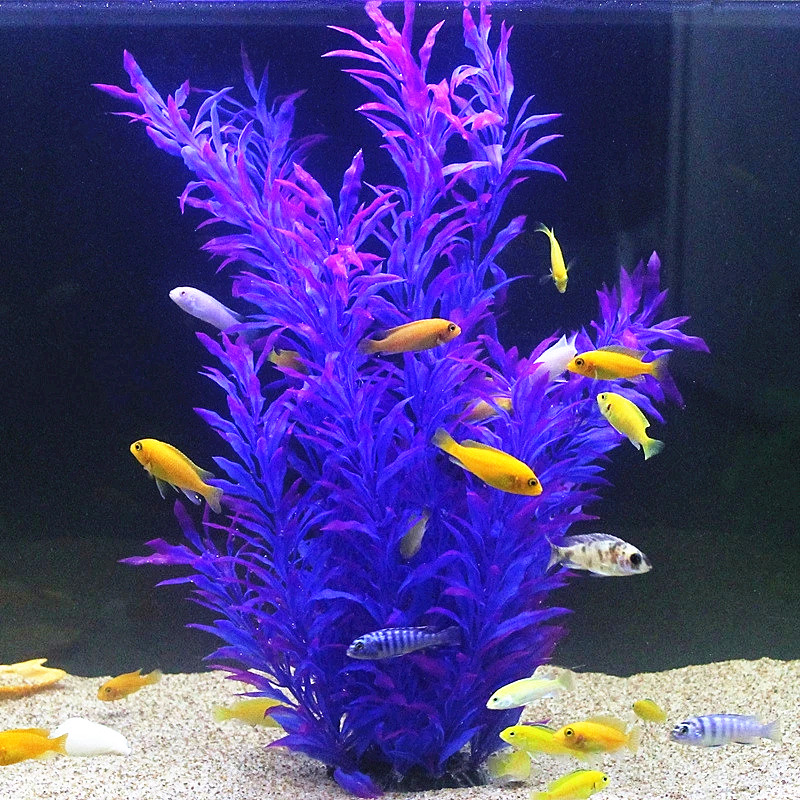 50CM sztuczne akwarium rzadkie – Aquarium Fish Quarantine recenzja i cena
