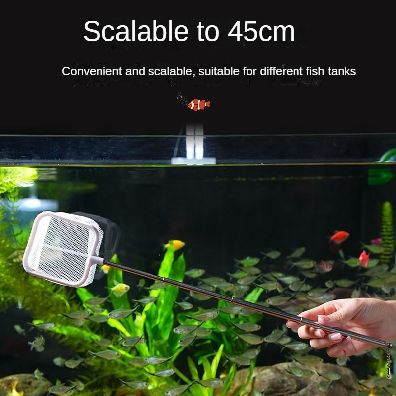 Akwarium 3D Fish Fishing Net z – Aquarium Fish Net Small recenzja i cena