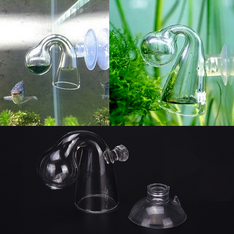 Dyfuzyjny szklany kontroler kr – Aquarium Fish Quarantine recenzja i cena