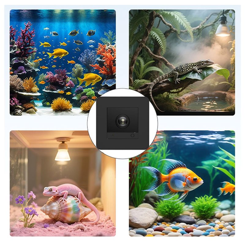 Obniżka ceny! Kamera do akwari – Aquarium Fish And Price recenzja i cena