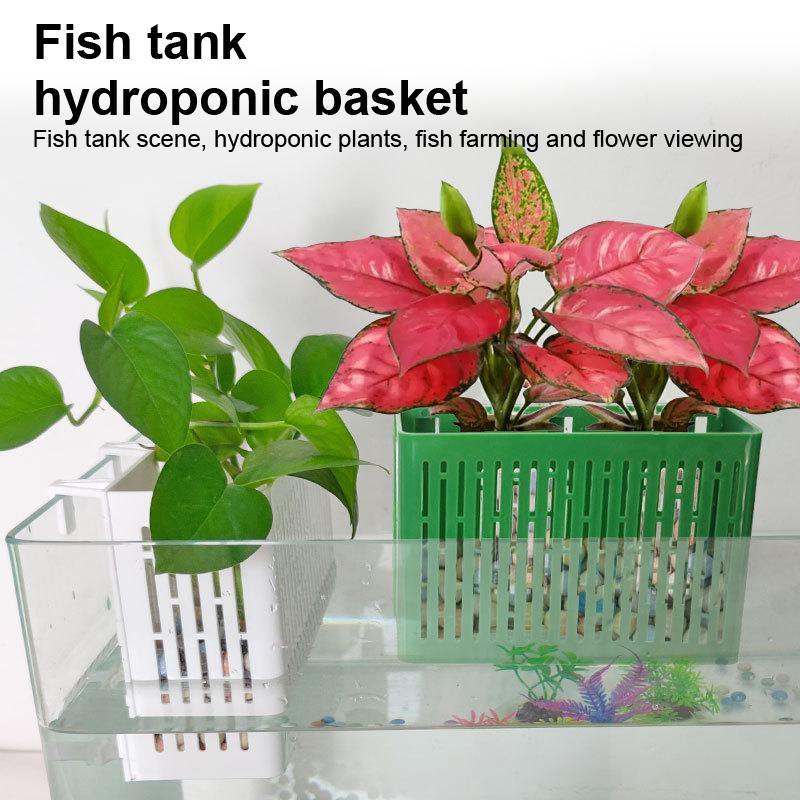 【F】Wiszący pojemnik do akwariu – Aquarium Fish Farm recenzja i cena