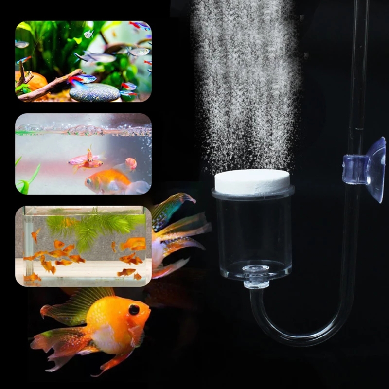 4szt Zestaw DIY Dyfuzor CO2 do – Aquarium Fish Quarantine recenzja i cena