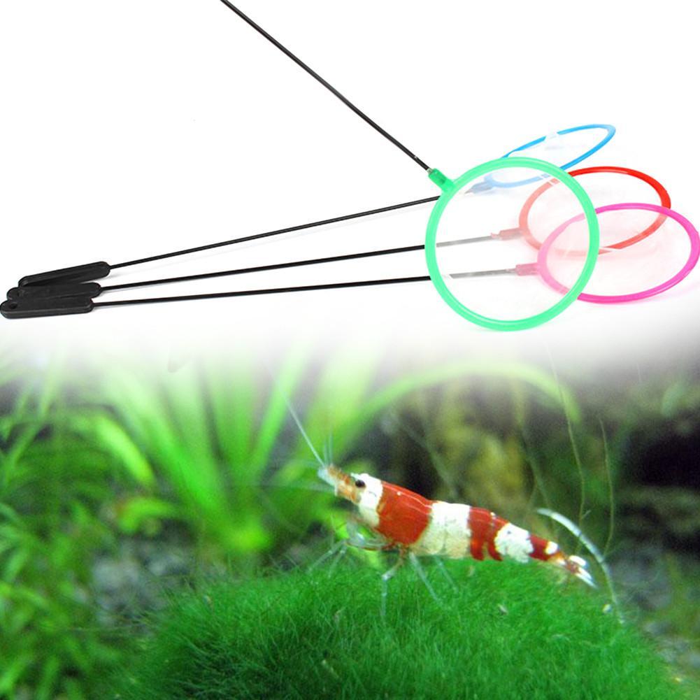 1/5/10 szt. Kolorowe siatki do – Aquarium Fish Net Small recenzja i cena